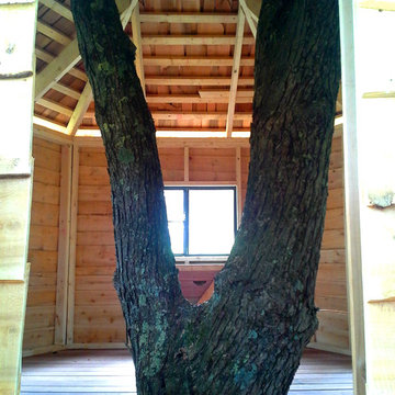 New York 4 Platform Tree House