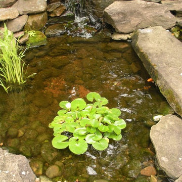 Waterscapes