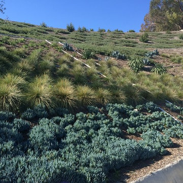 Drought landscape