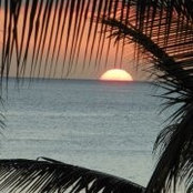 Kim Wise's photo