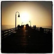 Amanda Stafford's photo