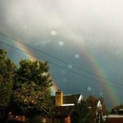 Mark Basil's photo