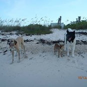Paul Fausey's photo