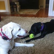 Beth Hofherr's photo