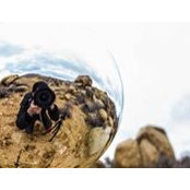 Pieter Lukman's photo