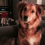 Erin McCarthy's photo