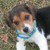 Cheri Olszewski's photo