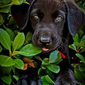 Doug Payne's photo