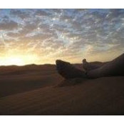 Laura Rivella's photo