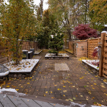 Modern Rectangular Swimming Pool & Backyard Renovation