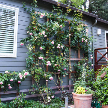 Backyard Retreat