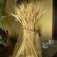 vase 6