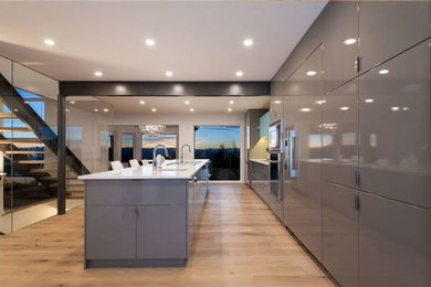 Example of a minimalist kitchen design in Calgary