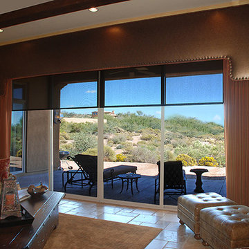Hunter Douglas Designer Screen Shades