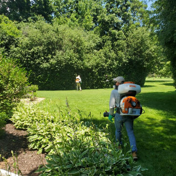 2022 Mosquito Control