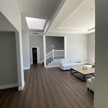 Alamo Home Remodel