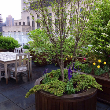Midtown Office Rooftop