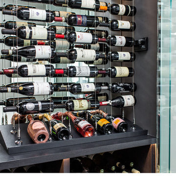 Glass Enclosed Wine Cellar by Papro Wine Cellar With Cable Wine Systems
