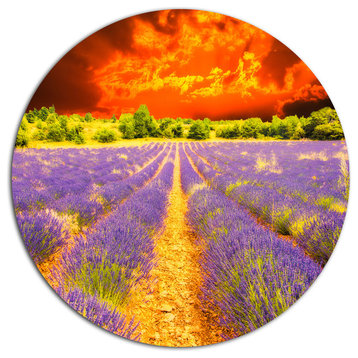 Beautiful Lavender Field And Sunset, Floral Disc Metal Wall Art, 36"