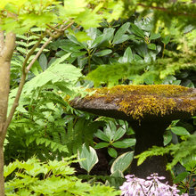 gardens