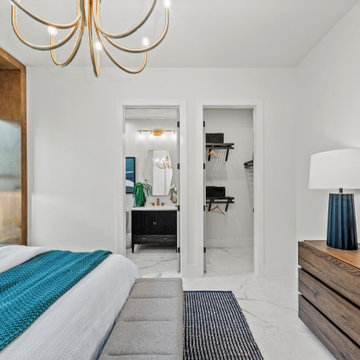 Sand Dollar Model