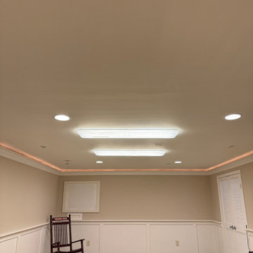 Carpers Farm Basement Renovation in Vienna, Virginia