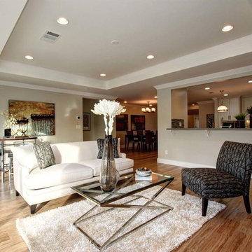 Modern Living Room