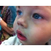 Jen Trulik's photo