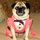dottie_caldwell9653
