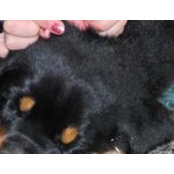 Laura Freeman's photo