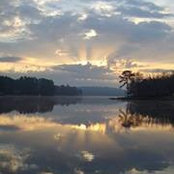 Tami Lee's photo