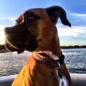 Aaron Miller's photo