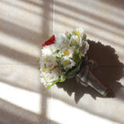 Jennifer De Castro's photo