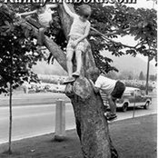 Bryan Miller's photo