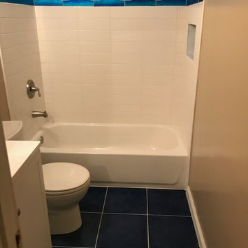 Hall Bathroom Renovation