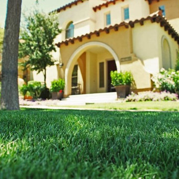 Residential Sod Installations