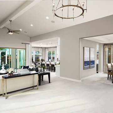 Raven model home in Arizona
