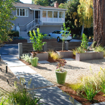 Contemporary Bungalow Front Yard