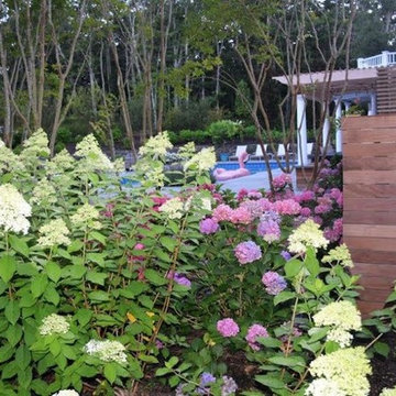 Landscape In the Hamptons