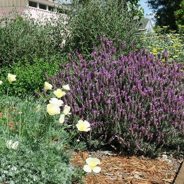 2018 Native Plant Garden Tour