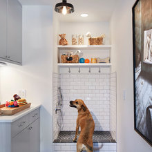 Dog Wash Station