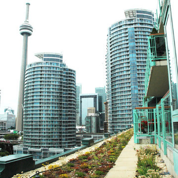 Green Roofs