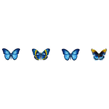 Butterfly Step Markers Porcelain Pool Mosaic ( 3" X 24" )