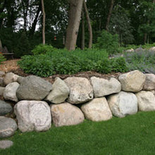 Back yard ideas
