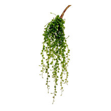 Wreath and Centerpiece desogn