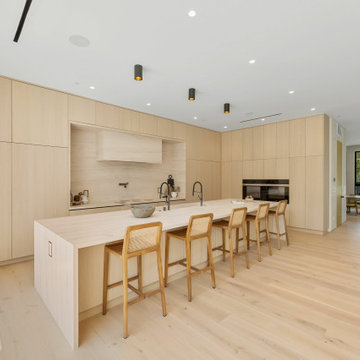 E Jenan Dr Residence - full remodel and backyard renovation 2/1/25