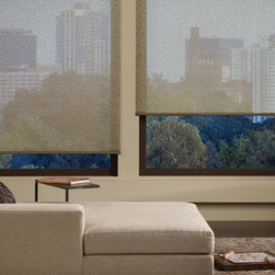 Hunter Douglas Alustra&reg; Screen Shades - Roller Shades