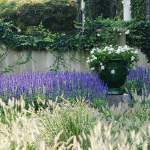 Eastern Garden