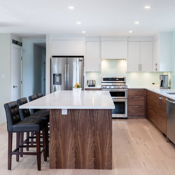 Mid Century Modern Renovation