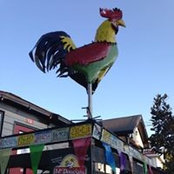 Susan Kavan's photo